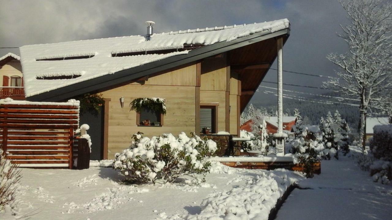 Villa Chalet La Petite Perle Gérardmer Exterior foto